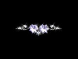 ActionBacks Wedding Overlays vol.4, ������, �������, �����, ��������