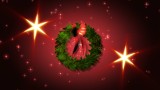 ActionBacks Holiday Motion vol.1 Pal, ������, �������, �����, ��������