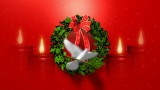 ActionBacks Holiday Motion vol.1 Pal, ������, �������, �����, ��������