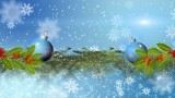 ActionBacks Holiday Motion vol.1 Pal, ������, �������, �����, ��������