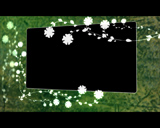 ActionBacks - Wedding Themes 2 HD, ������, �������, �����, ��������