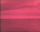 Fuzion Films vol 23 - Atomic Weapons, ������, �������, �����, ��������