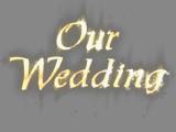 Editor's Toolkit 3: Wedding Tools MDE Part1 (112 - 160 mov.), , , , 