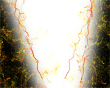 Digital Juice Editor's Toolkit PRO 151: Particle Vines, ������, �������, �����, ��������