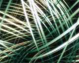 Digital Juice Editor's Toolkit PRO 172: Abstract Strands, ������, �������, �����, ��������