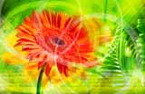Digital Juice Drops 29 flowerPOWER, , , , 
