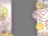 Digital Juice Editor's Themekit 02 Floral Fusion, , , , 