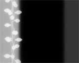 Digital Juice Editor's Themekit 29: String of Lights, , , , 