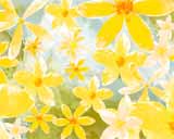 Digital Juice Editor's Themekit 36: Spring Forward, ������, �������, �����, ��������