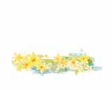 Digital Juice Editor's Themekit 36: Spring Forward, ������, �������, �����, ��������