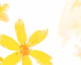 Digital Juice Editor's Themekit 36: Spring Forward, ������, �������, �����, ��������