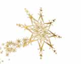 Digital Juice Editor's Themekit 37: Golden Flakes, ������, �������, �����, ��������