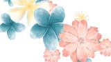 Digital Juice Editor's Themekit 61: Floral Flow, , , , 