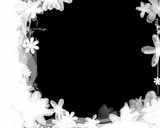 Digital Juice Editor's Themekit 66: Flower Wall, , , , 