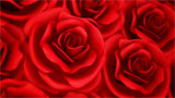 Digital Juice Editor's Themekit 71: Red Roses, ������, �������, �����, ��������
