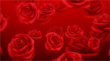 Digital Juice Editor's Themekit 71: Red Roses, ������, �������, �����, ��������