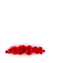 Digital Juice Editor's Themekit 71: Red Roses, ������, �������, �����, ��������