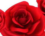 Digital Juice Editor's Themekit 71: Red Roses, ������, �������, �����, ��������