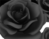 Digital Juice Editor's Themekit 71: Red Roses, ������, �������, �����, ��������