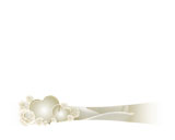 Digital Juice Editor's Themekit 80: White Roses, ������, �������, �����, ��������