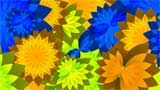 Digital Juice Editor's Themekit 95: Clean Bouquet, , , , 