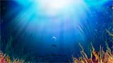 Digital Juice Editor's Themekit 114: Under the Sea, , , , 