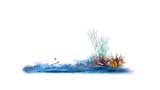Digital Juice Editor's Themekit 114: Under the Sea, ������, �������, �����, ��������