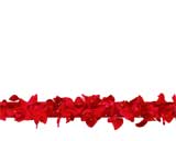 Digital Juice Editor's Themekit 117:  Roses are Red, , , , 