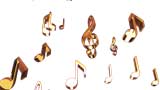 Digital Juice - SWIPES! Vol.28: Music Theory, ������, �������, �����, ��������