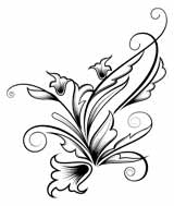 Motion Designer's Toolkit 1 Filigree&Scrolls, ������, �������, �����, ��������