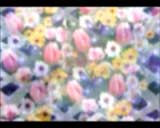 Digital Preserves A Wedding For All Seasons vol.1, ������, �������, �����, ��������