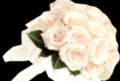 Digital Hotcakes Wedding Essentials vol.1, ������, �������, �����, ��������