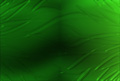 Digital Hotcakes Vol 2 Organic Backdrops, ������, �������, �����, ��������