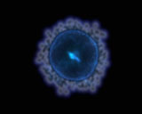 Digital Vision - Biotic (PAL), ������, �������, �����, ��������