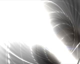 Digital Vision Video - Digital Interface (NTSC+PAL), ������, �������, �����, ��������