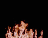 Digital Vision Video - Inferno PAL, ������, �������, �����, ��������