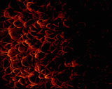 Digital Vision Video - Inferno PAL, ������, �������, �����, ��������