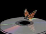 Rab-Byte Pro ������ ��������� ��� ��������  vol. 14, 20 � 35, ������, �������, �����, ��������