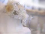 Taste Digital Exclusive Wedding Fons, ������, �������, �����, ��������