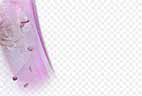 TasteDigitalMedia Wedding Animated Matte Sets,Lower Thirds & DVD Templates: Set 01, ������, �������, �����, ��������