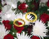 ������� ������ 2, ������, �������, �����, ��������