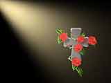 Animation Factory Video Voltage v.2, ������, �������, �����, ��������