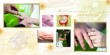 DG Foto Art 2 ����: Wedding Vol.-3, Wedding Vol.-4, ������, �������, �����, ��������