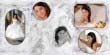 DG Foto Art 3 ����: Wedding Vol.-5, Wedding Vol.-6, Wedding Vol.-9, ������, �������, �����, ��������