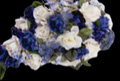 Digital Hotcakes Wedding Essentials vol.1 (��� Pinnacle), ������, �������, �����, ��������