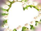 ActionBacks Wedding Overlays vol.2 (��� Pinnacle), ������, �������, �����, ��������