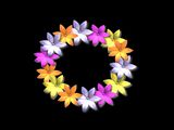ActionBacks Wedding Overlays vol.4 (��� Pinnacle), ������, �������, �����, ��������