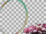 ShowStoppersFX Wedding Collection Vol.3  (��� Pinnacle), ������, �������, �����, ��������