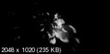 Video Copilot - Action Essentials 2 (Full - 2k) 32Gb, ������, �������, �����, ��������