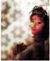 SPC �������: Digital Photo Filter Vol. 1, Fine Art Script Vol. 1, Old Photo Vol. 1, Landscape Vol. 1, ���������� � Fine Art Script Vol. 1, ������, �������, �����, ��������